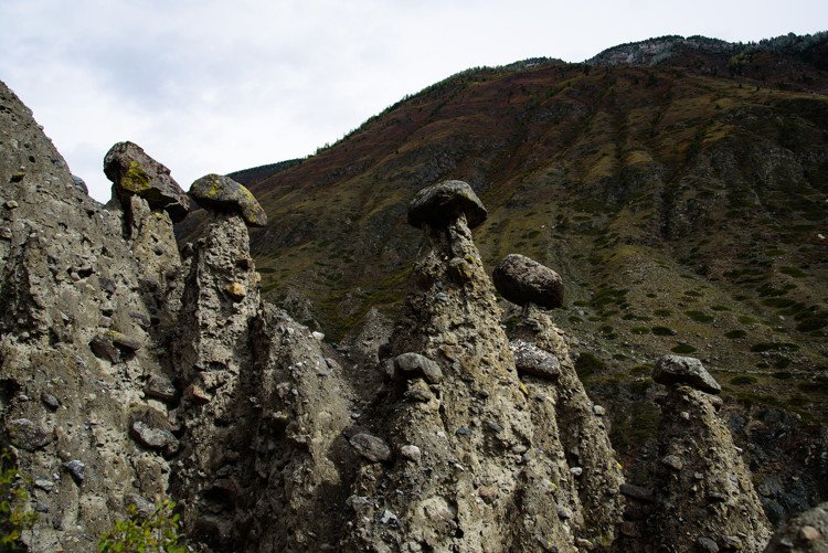 Каменные грибы. Урочище Аккурум