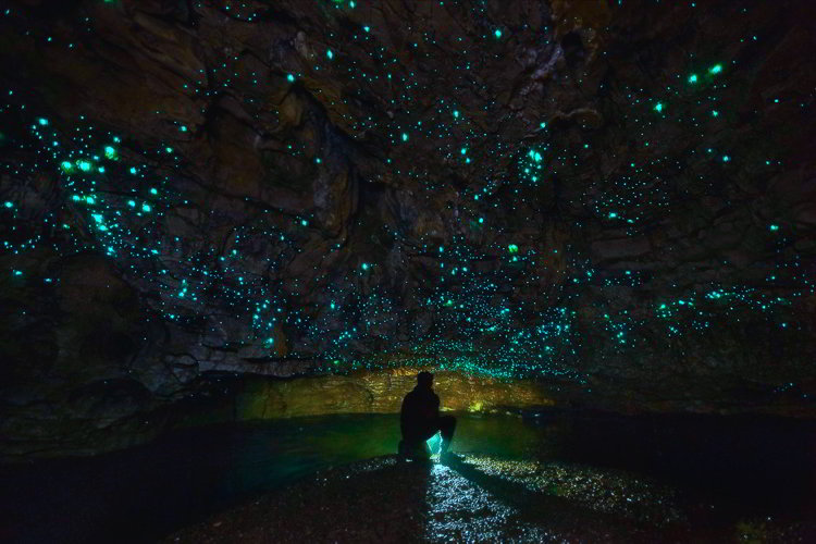 Пещеры светлячков