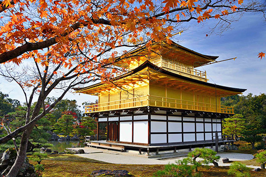 Золотой павильон. Киото. Япония.