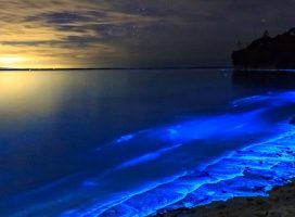 Остров Ваадху и светящиеся пляжи