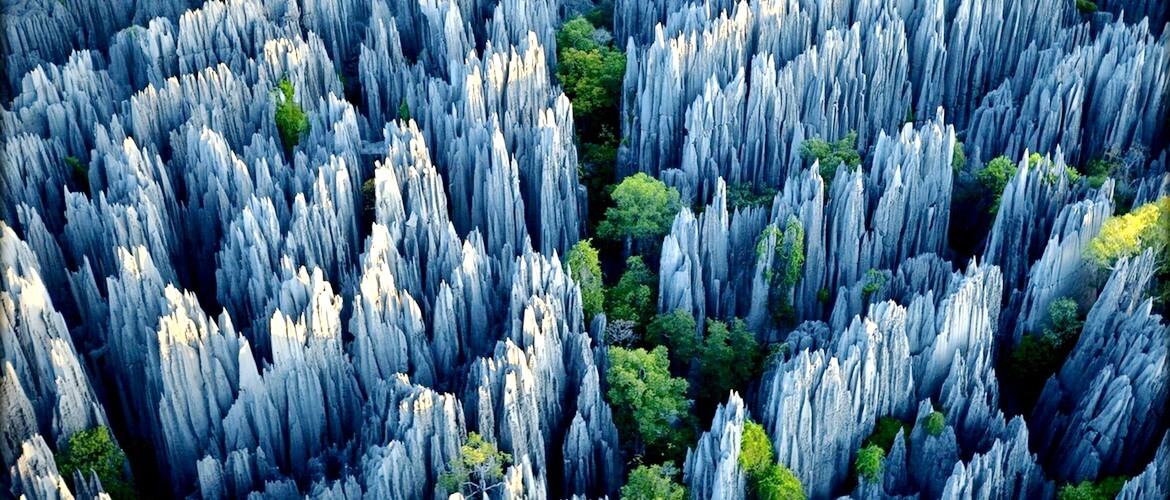 Каменный лес на Мадагаскаре