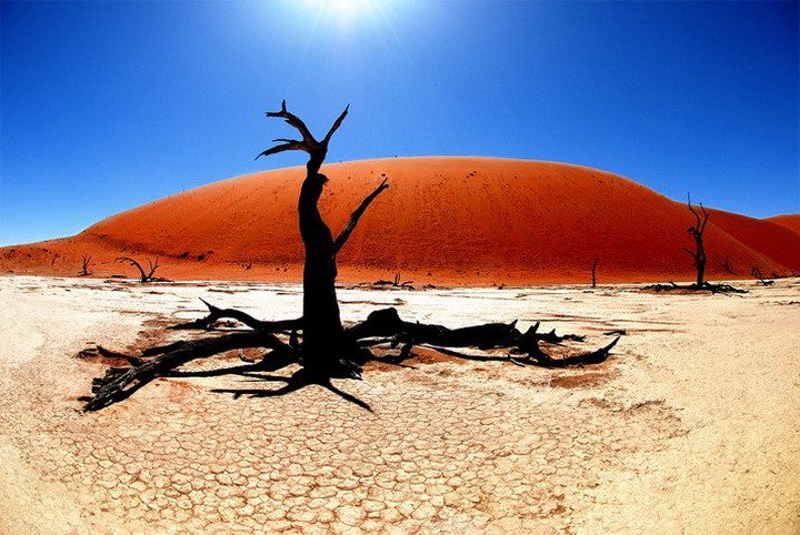 Мертвая Долина в пустыне Намиб