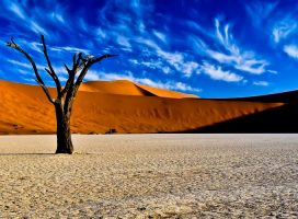 Мертвая долина в Намибии