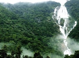 Водопад Дудхсагар. Индия