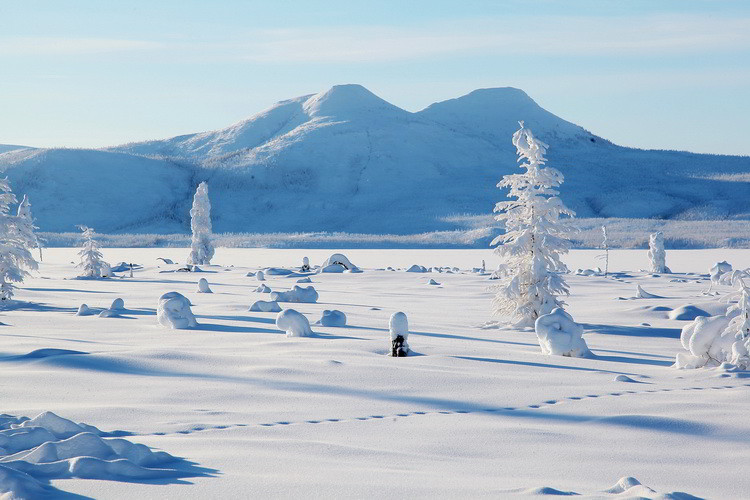 Зимние пейзажи Якутии
