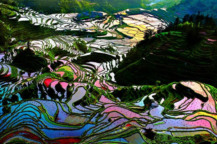 Рисовые террасы Хунхэ-Хани с высоты
