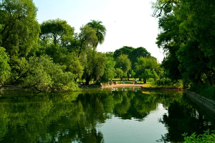 пруд в городском парке Дели