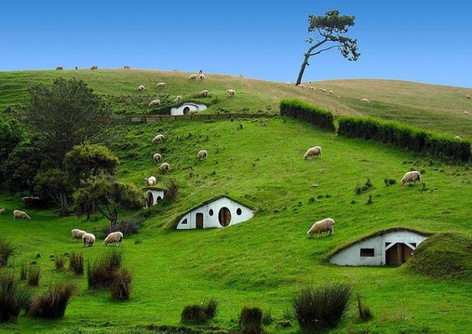 Деревня Хоббитон и овцы