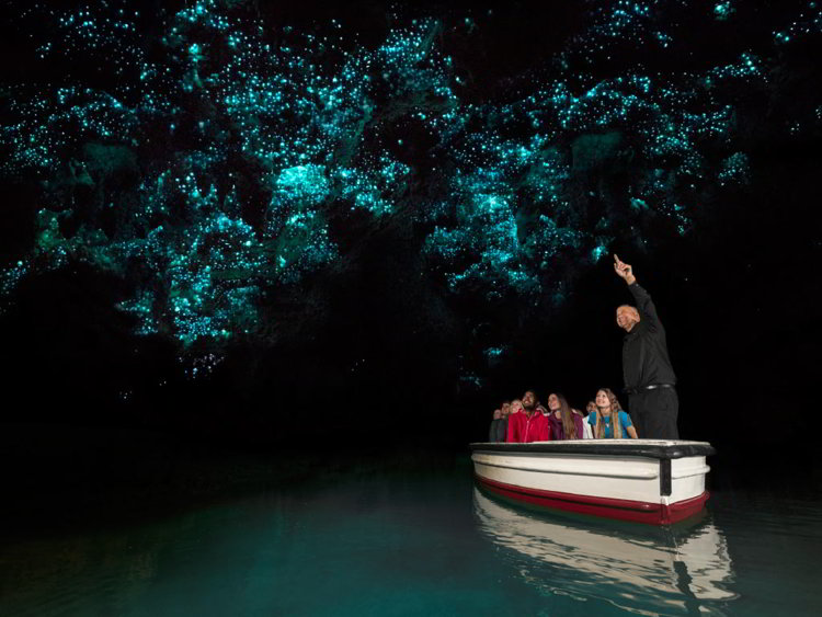на лодках по Пещерам светлячков