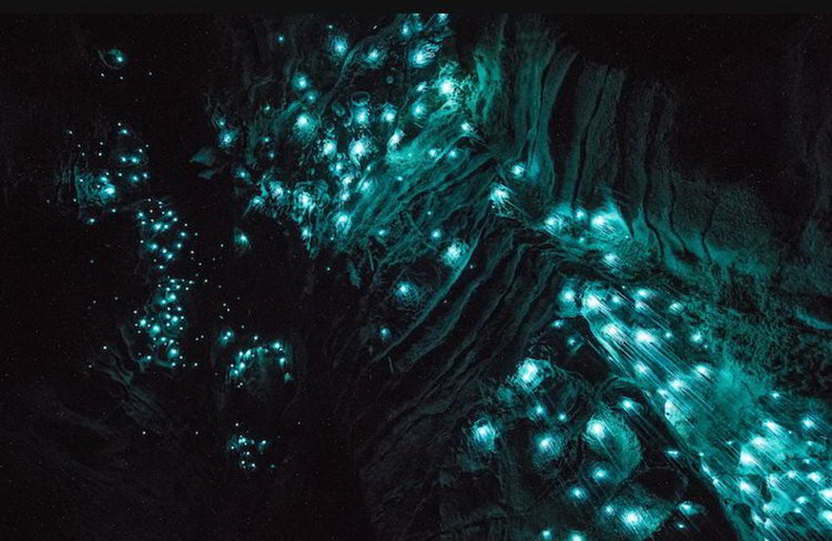 Своды светящихся пещер