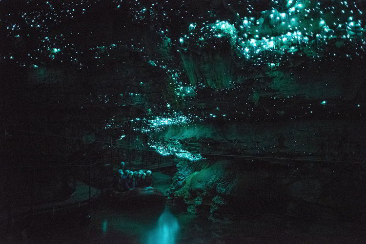 Вайтомо - пещеры светлячков