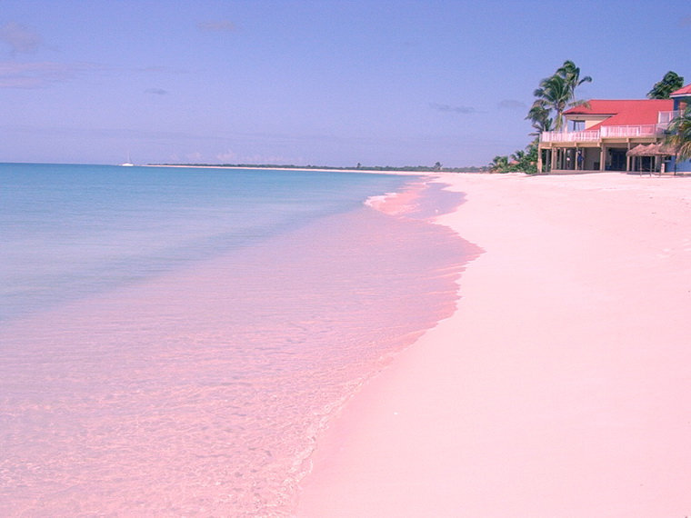 Остров Харбор и его Розовые пляжи