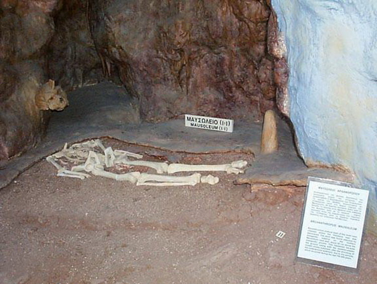 скелет петралонского человека