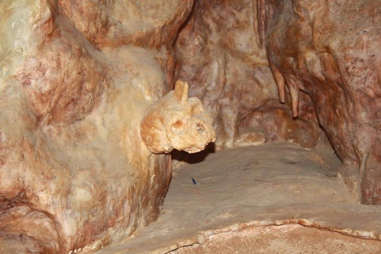 Череп в пещере Петралона