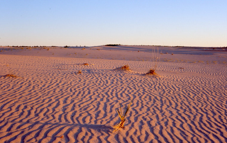Песчаная пустыня в тайге