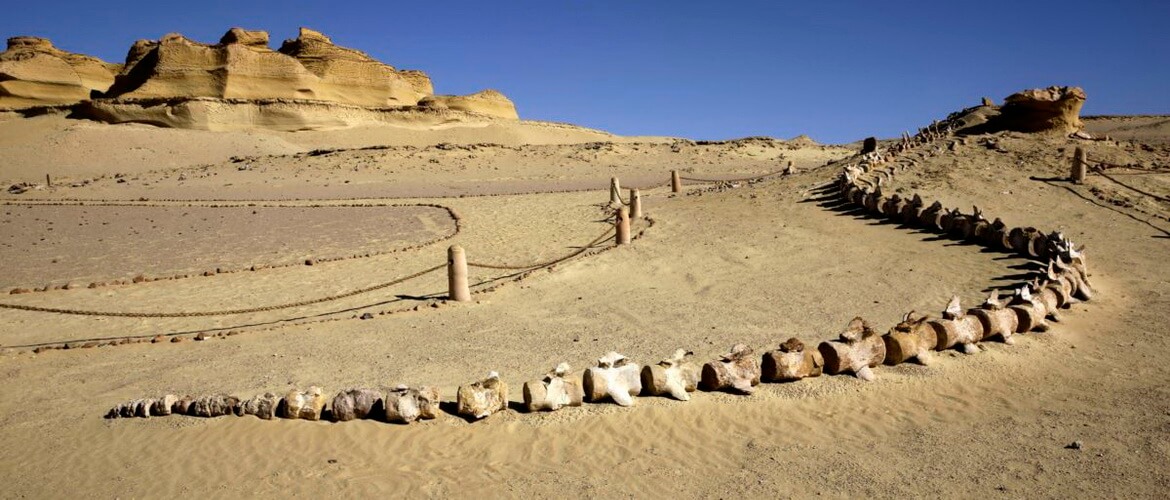 Долина Китов в Египте