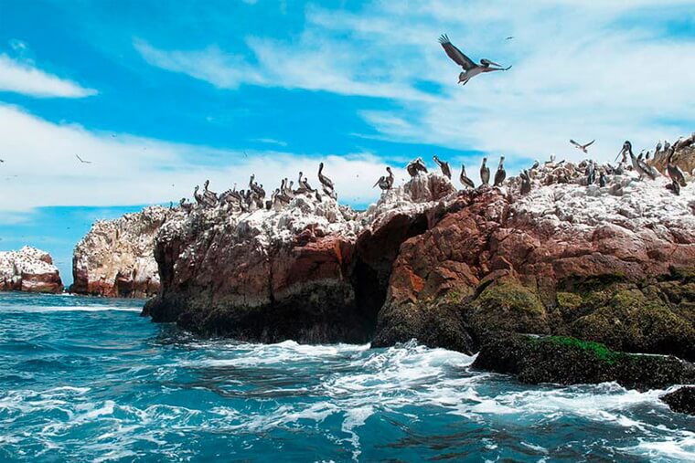 острова Бальестас в Перу