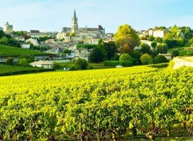 Бордо - столица виноделия во Франции