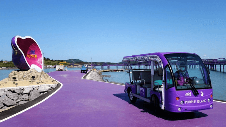 Фиолетовые дороги