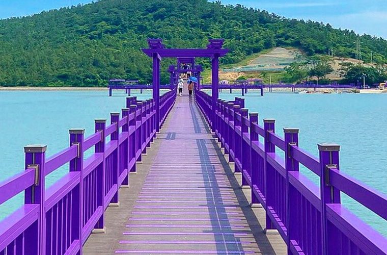 Фмолетовый остров в Южной Корее