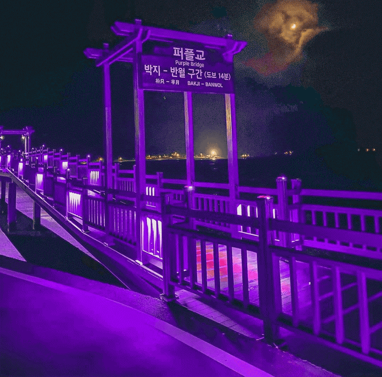Фиолетовый мост