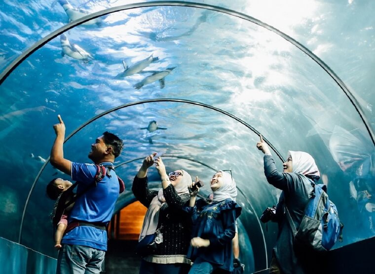 Океанариум Подводный мир Лангкави
