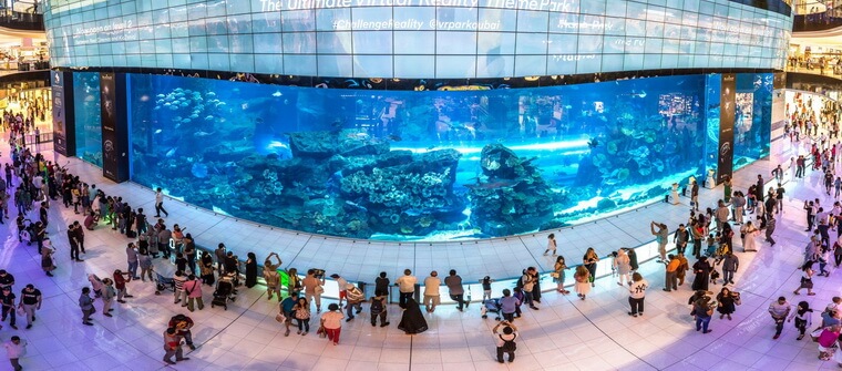 Бесплатная часть аквариума Дубая